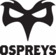 Ospreys_Standard