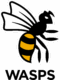 Wasps_Logo_Light_Background_RGB