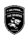 Hollywoodbets Sharks logo