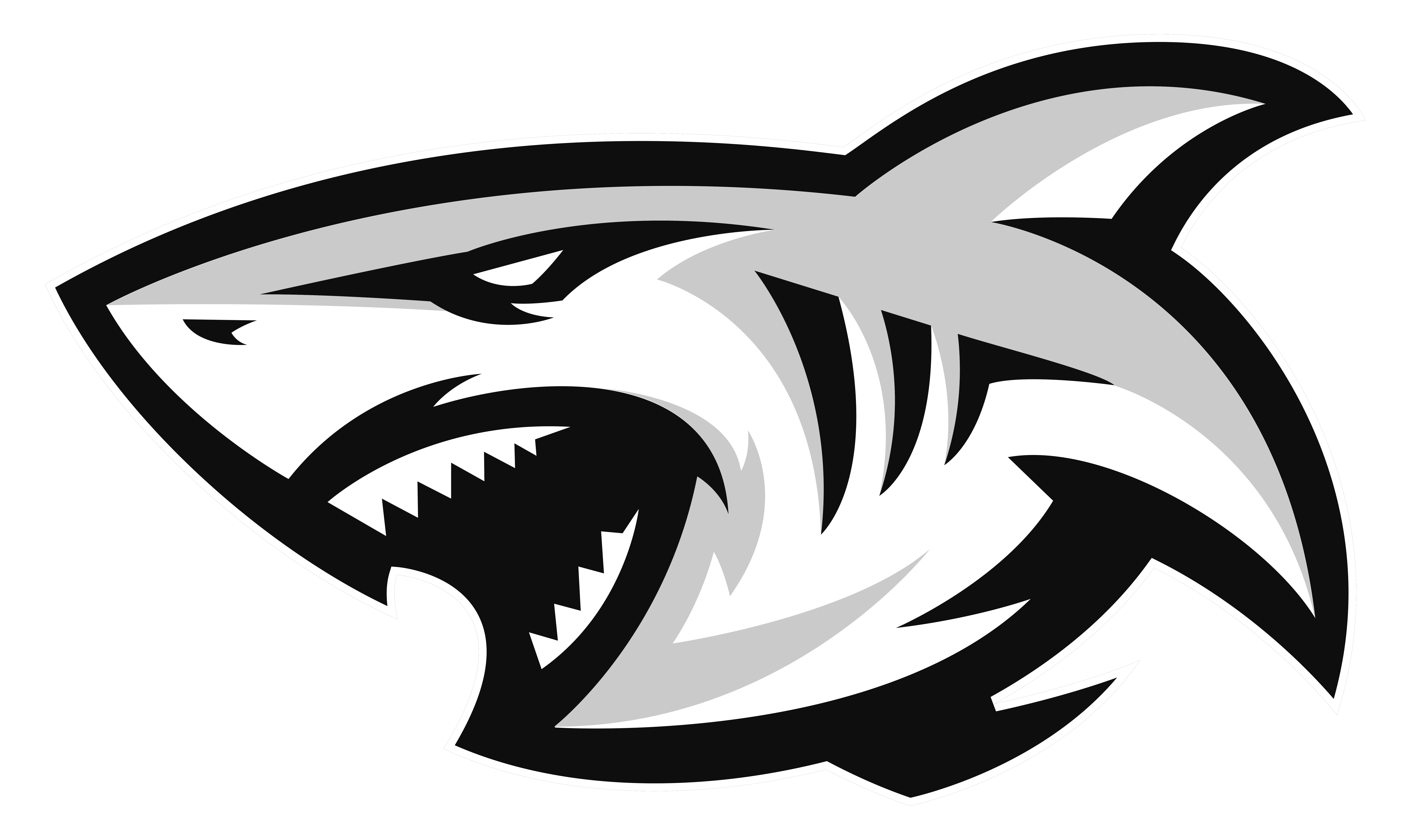 Hollywoodbets Sharks Ident