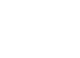 Lions – White